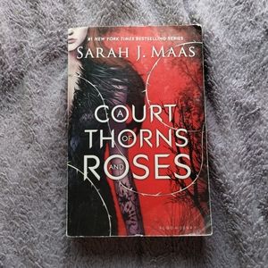 A Court of Thorns and Roses - Out of Print Cover - Paperback - (Acotar)